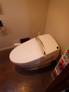 直線を基調としたシンプルですっきりしたトイレ 港区Y様邸 直線を基調としたシンプルですっきりしたトイレ 港区Y様邸